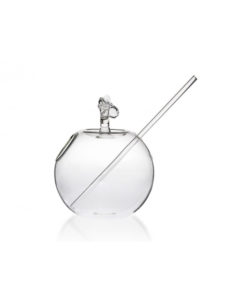 Apple Glass