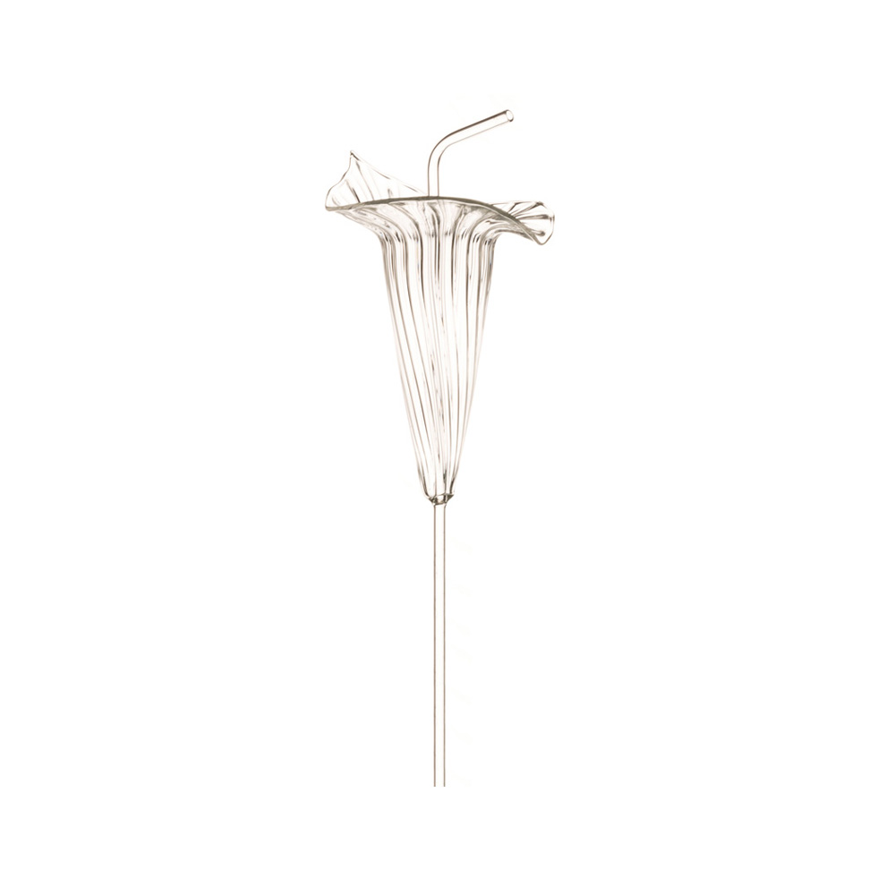 Hibiscus Glass Straw