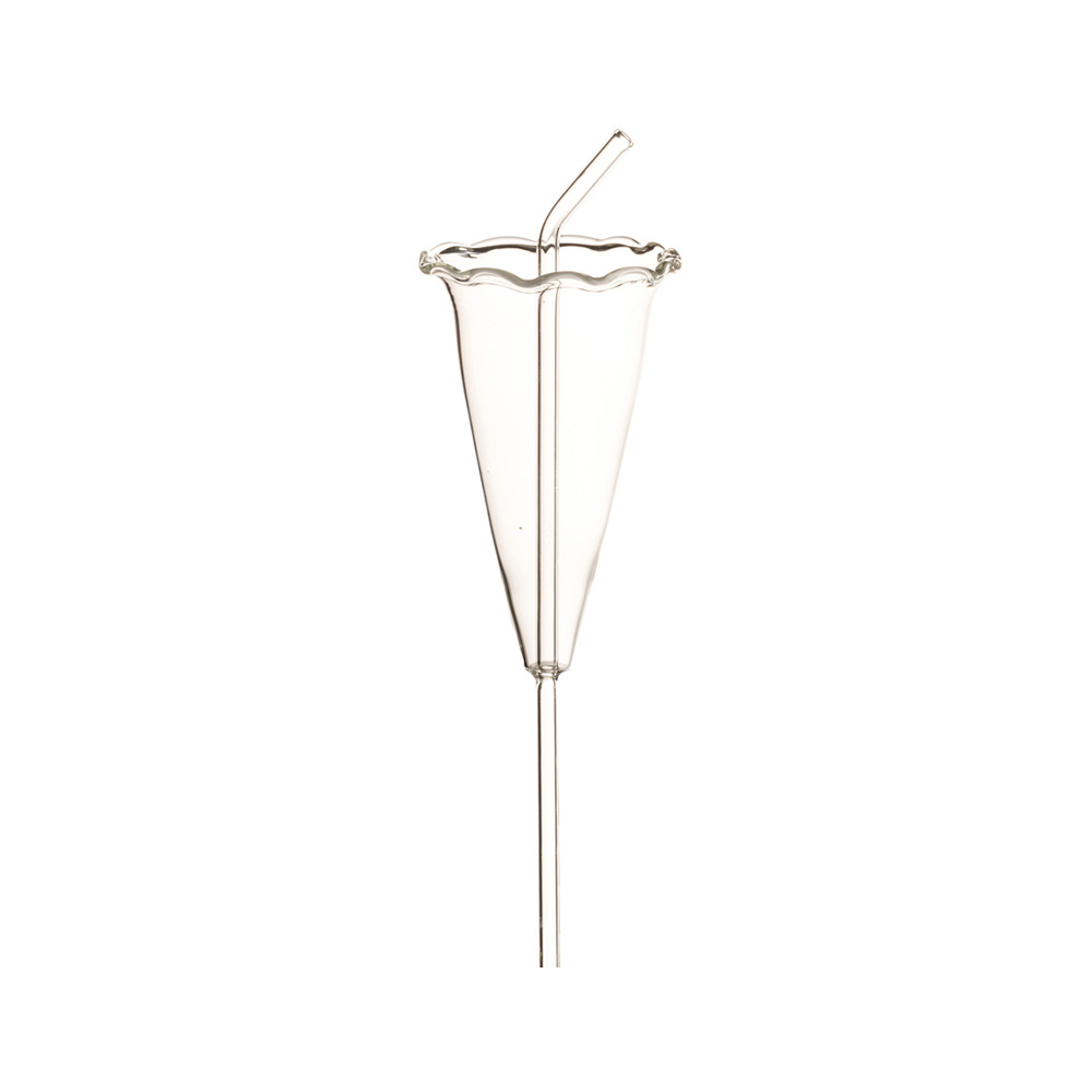 Hummingbird Glass Straw