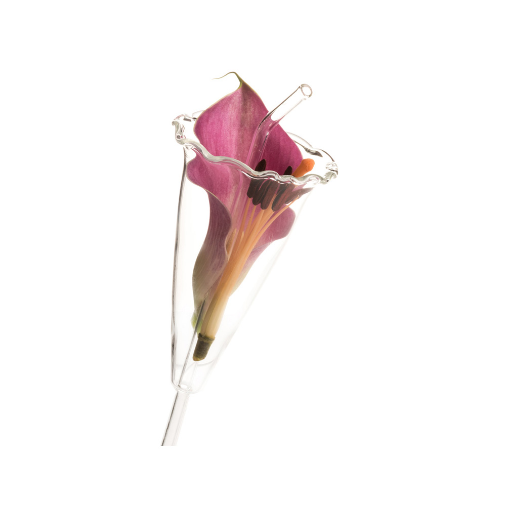 Hummingbird Glass Straw - Image 3