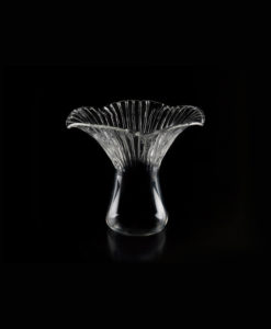 Lactarius Glass