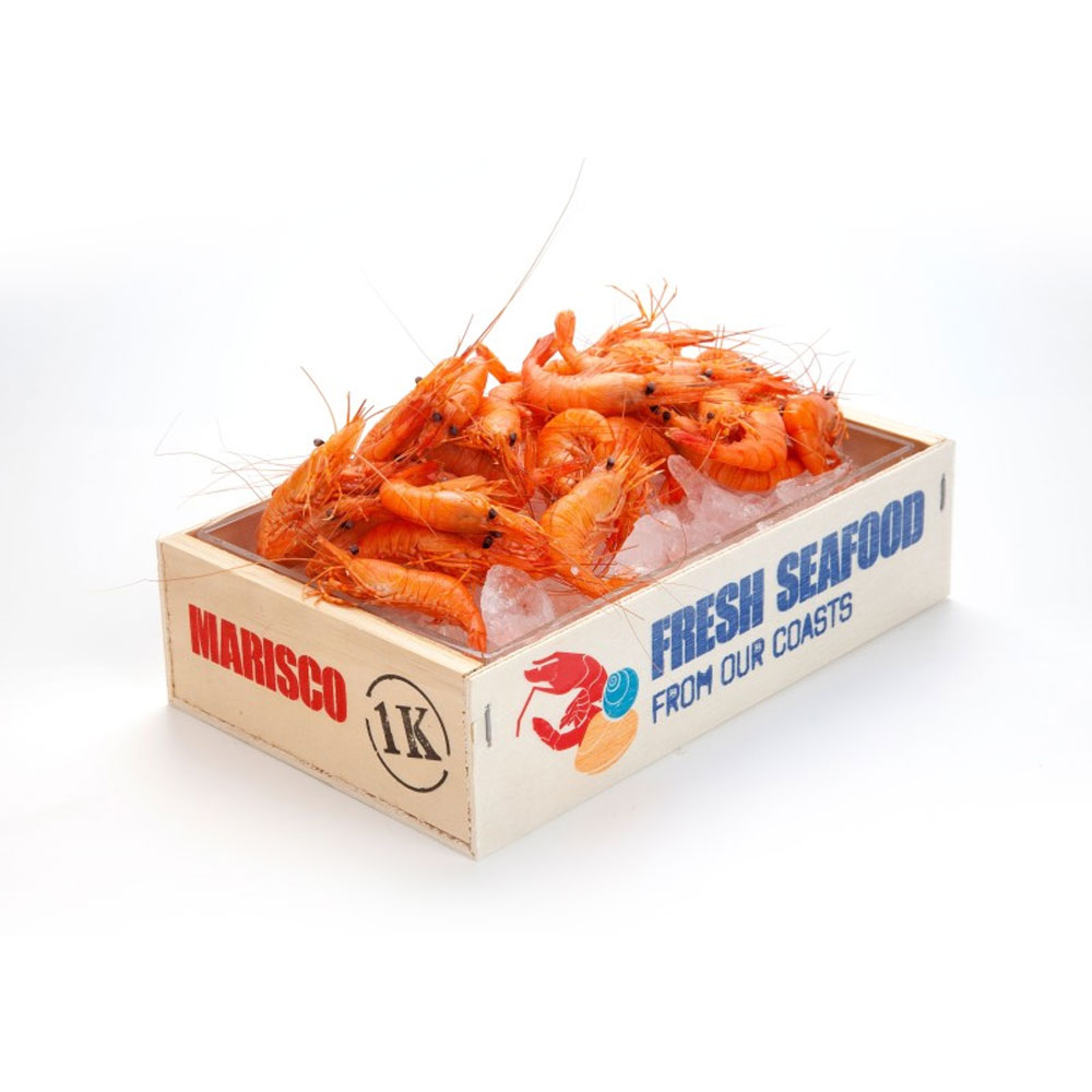 Methacrylate Seafood Box - Image 4