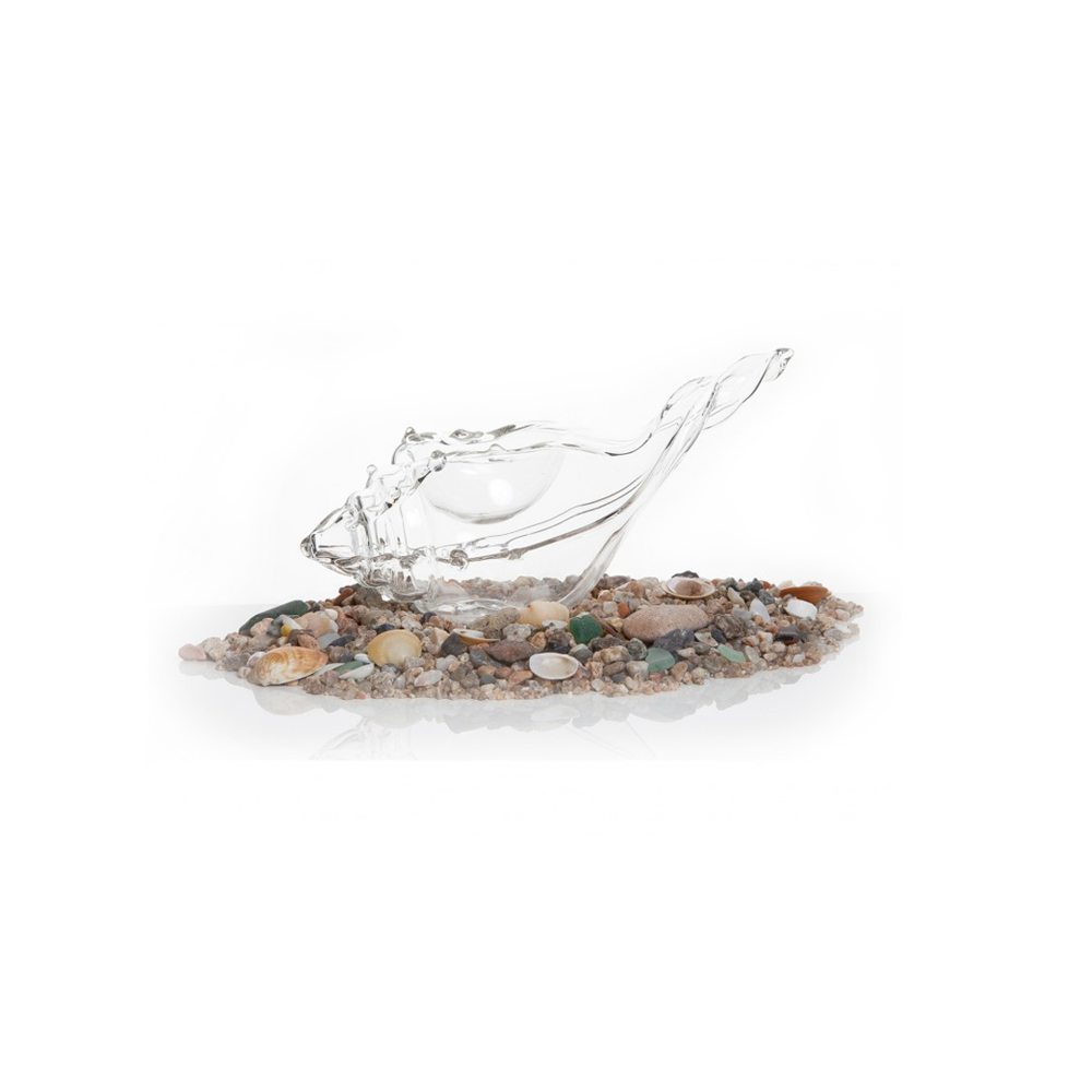 Murex Sea Snail Sea Plate - Image 2