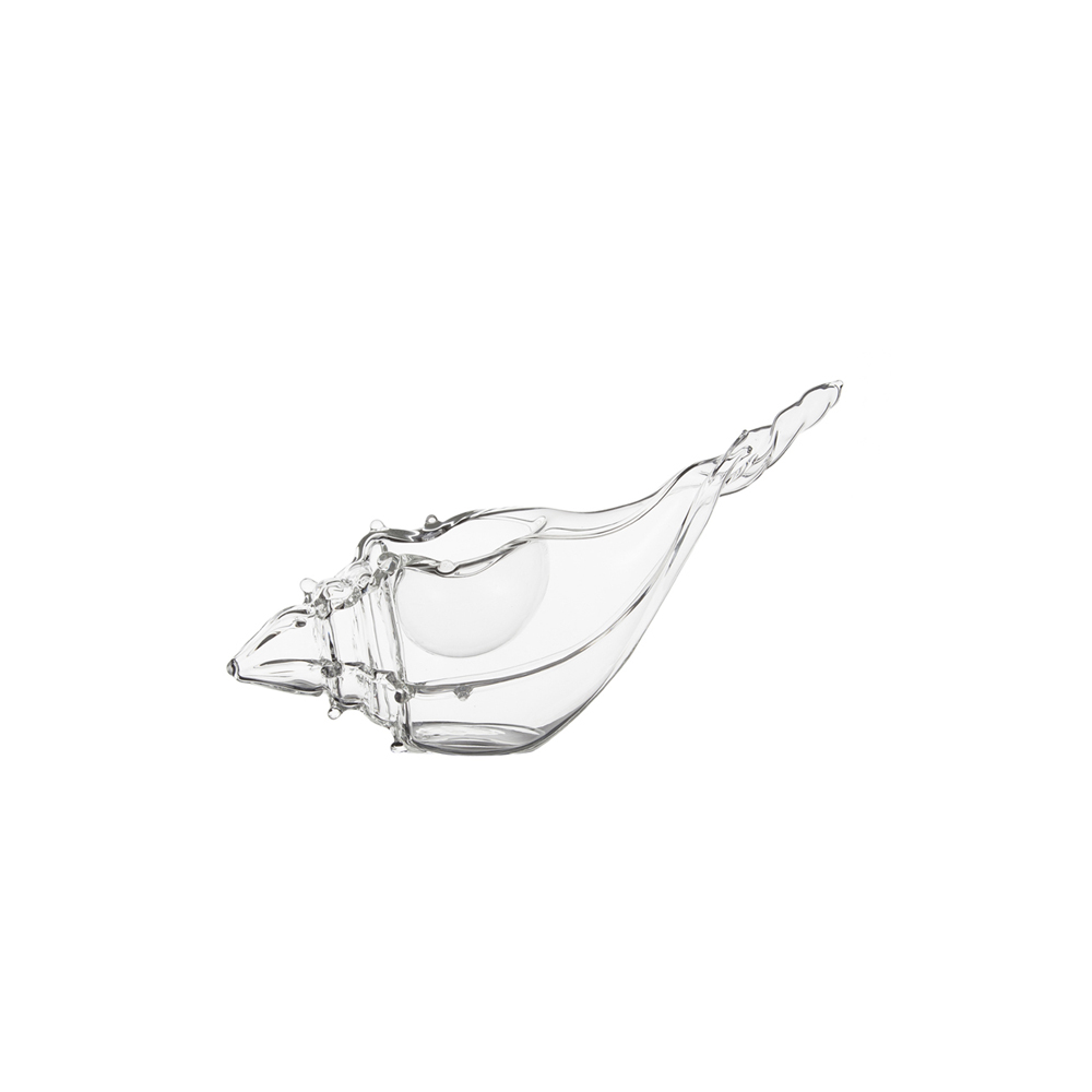 Murex Sea Snail Sea Plate