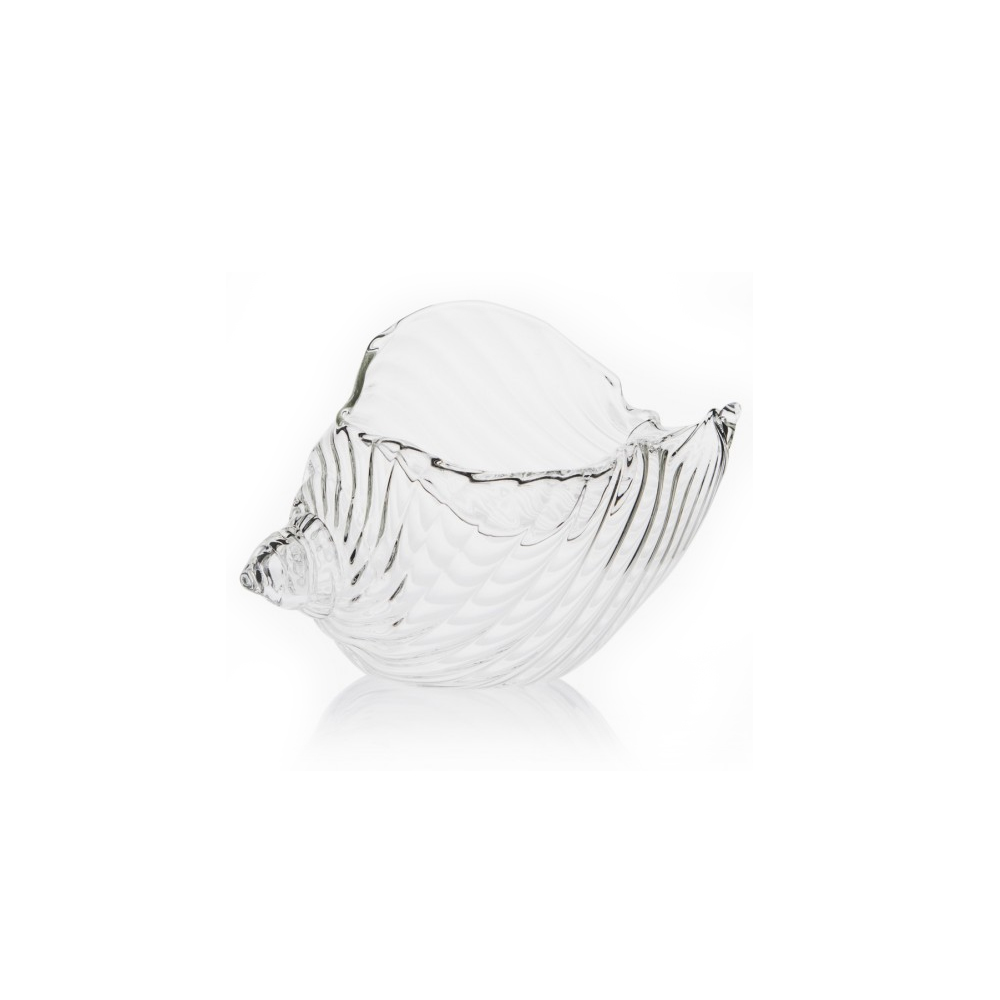 Seashell Cup