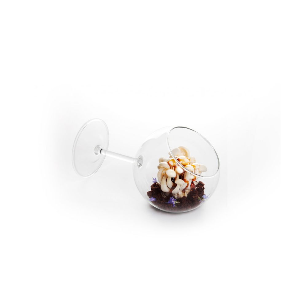 Siesta Glass