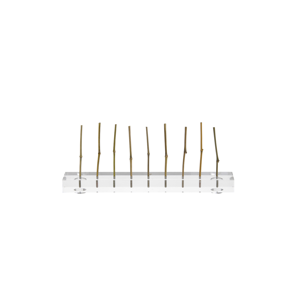 Support Deli Skewers - Image 3