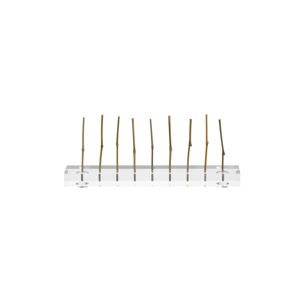 Support Deli Skewers