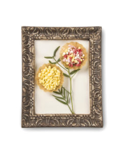 The Frame - Rectangular Frame Plate