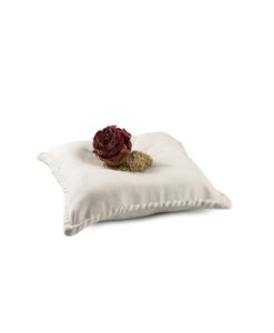 The Pillow - Porcelain Plate