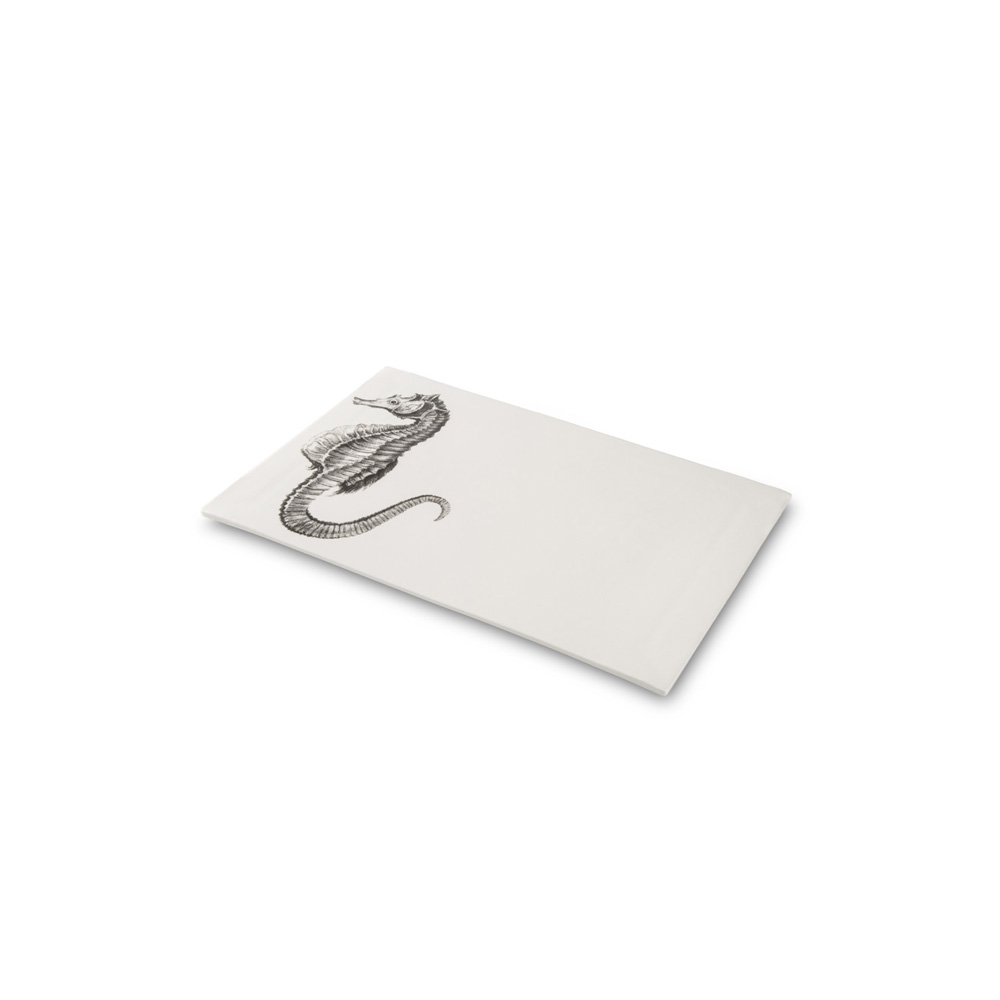 White Canvas Porcelain Plate - Image 2