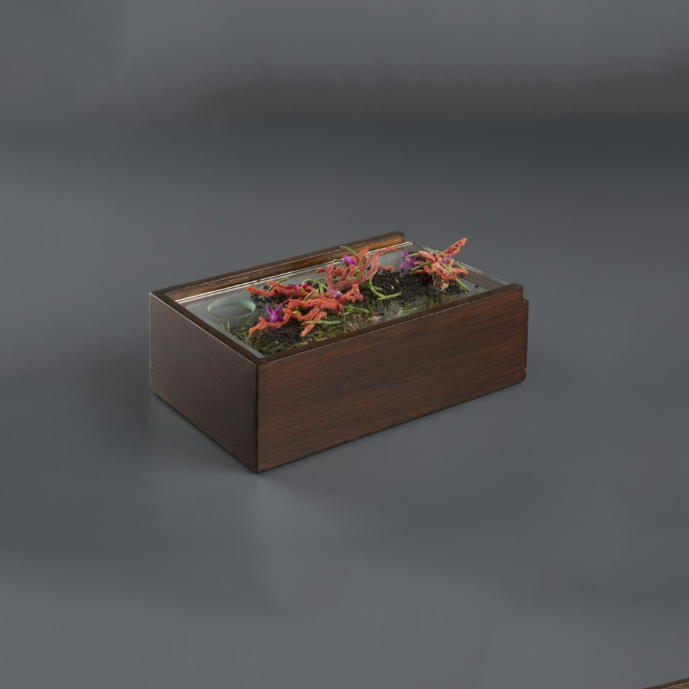Wooden Box Corfú - Image 2