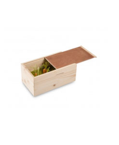 Wooden Chess Box