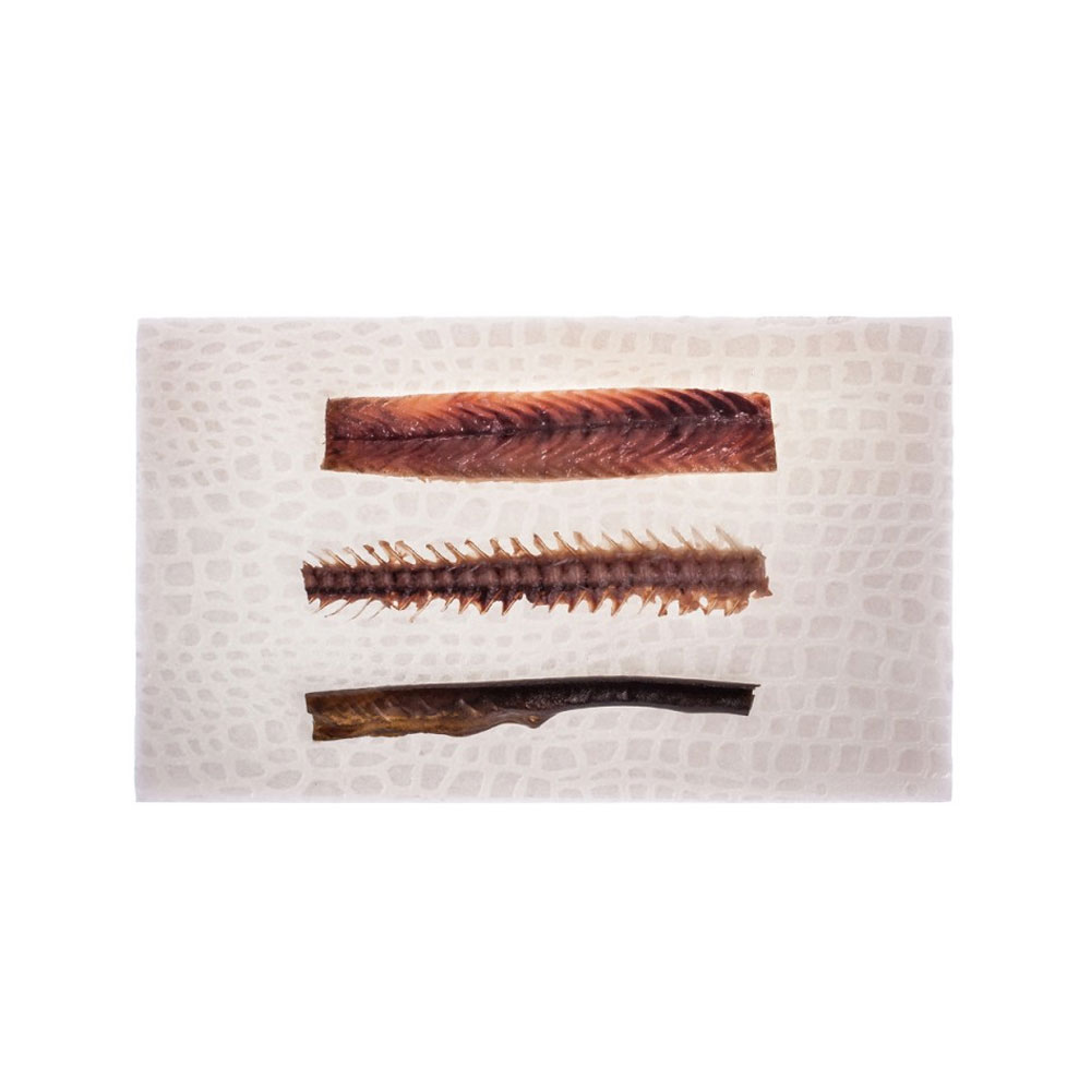 Crocodile Plate Round/Rectangular - 2 pcs - Image 4