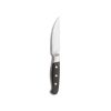 Aconcagua Black Steak Knife HQ