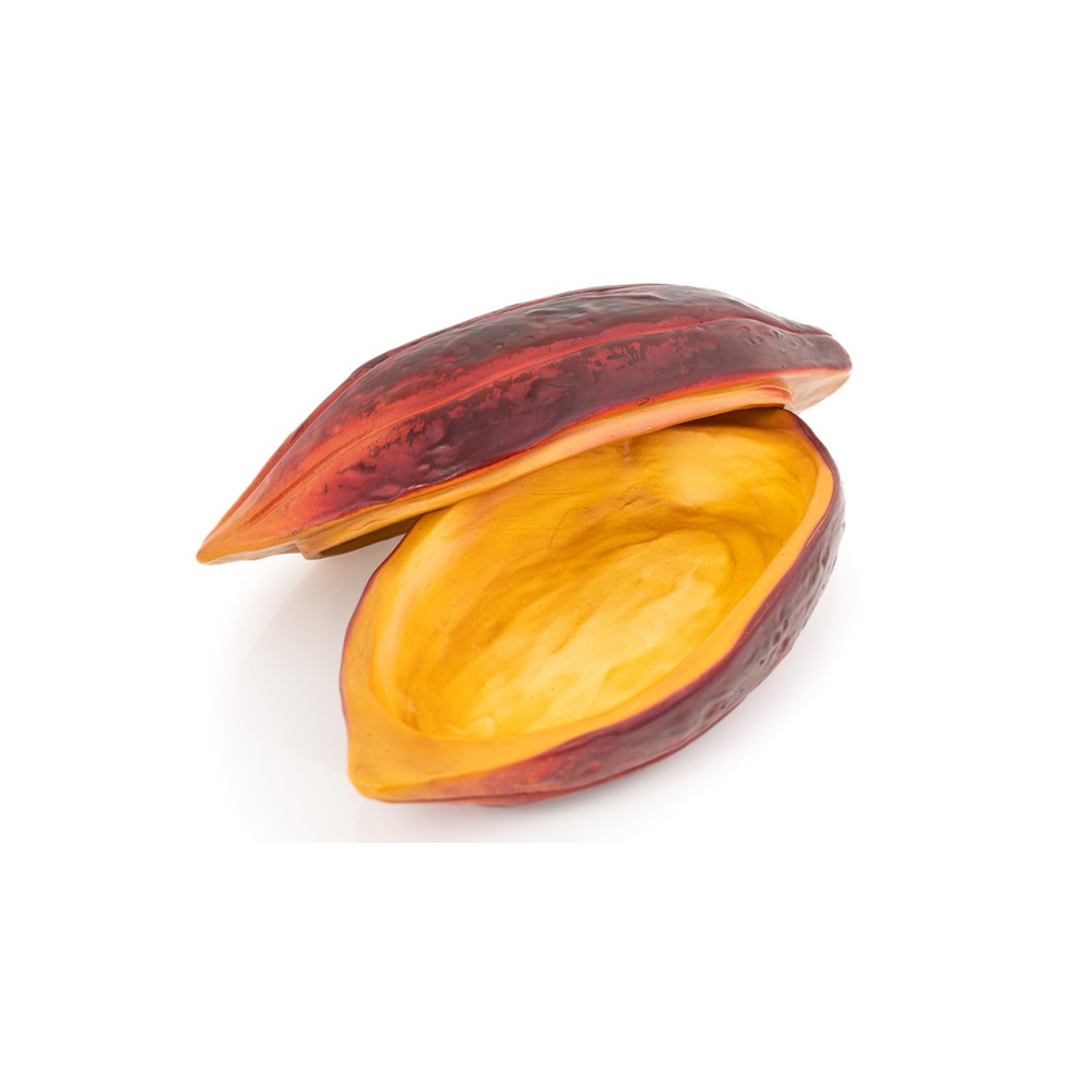 Cocoa Bean