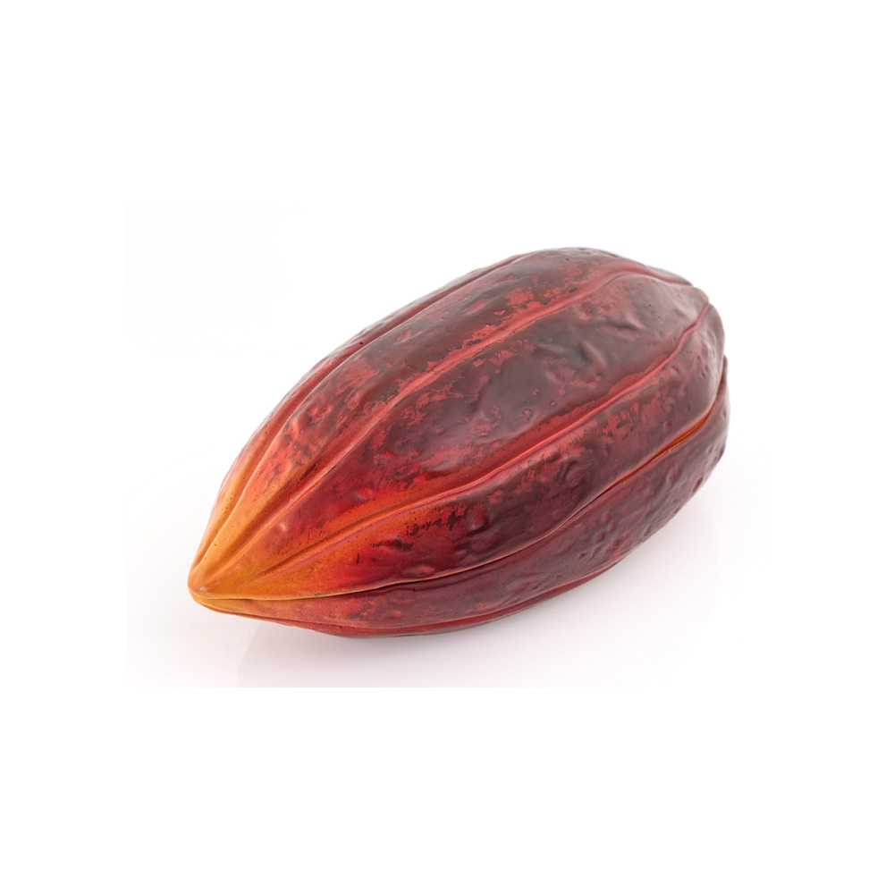 Cocoa Bean - Image 2