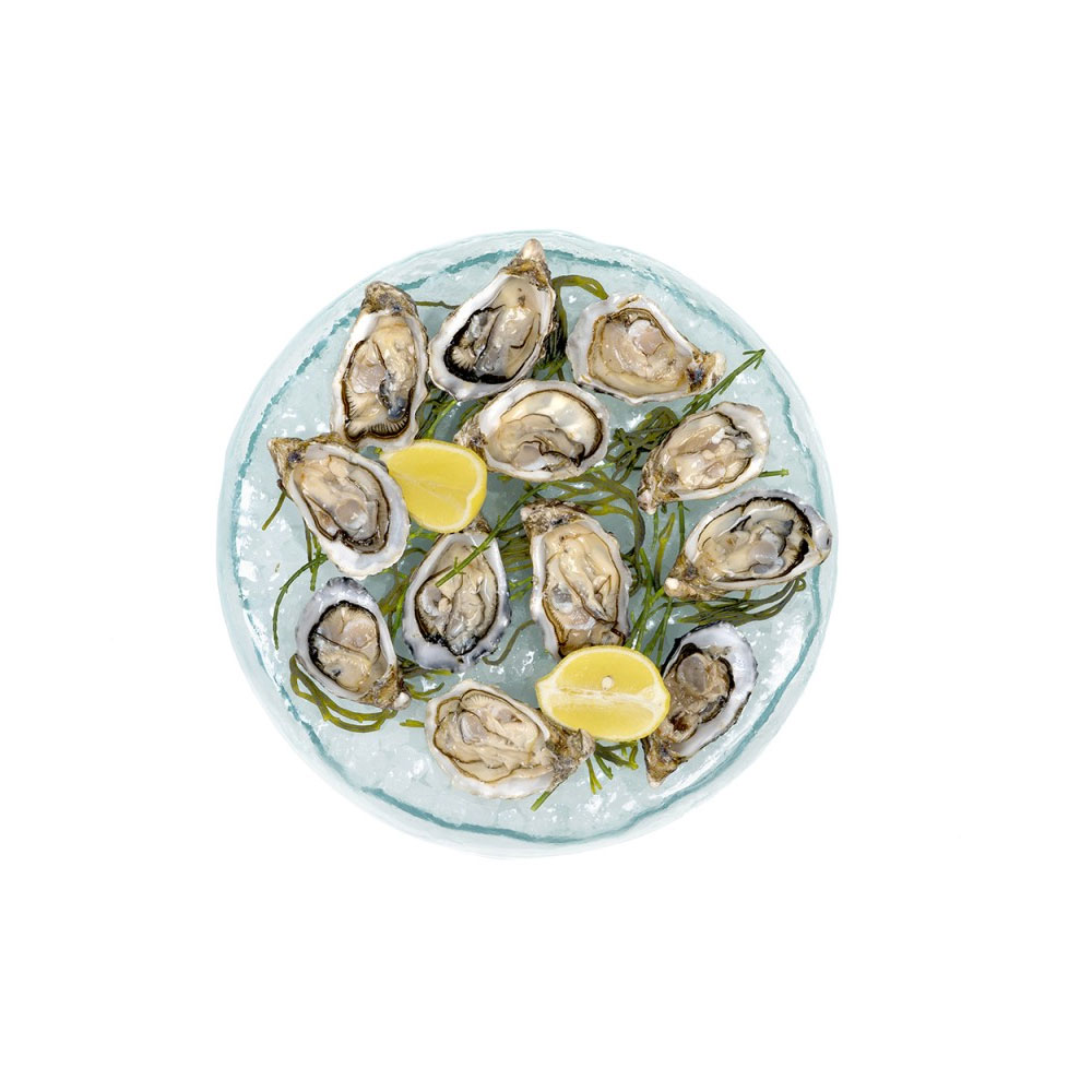 Presentation Tray 12 Oysters - Image 3