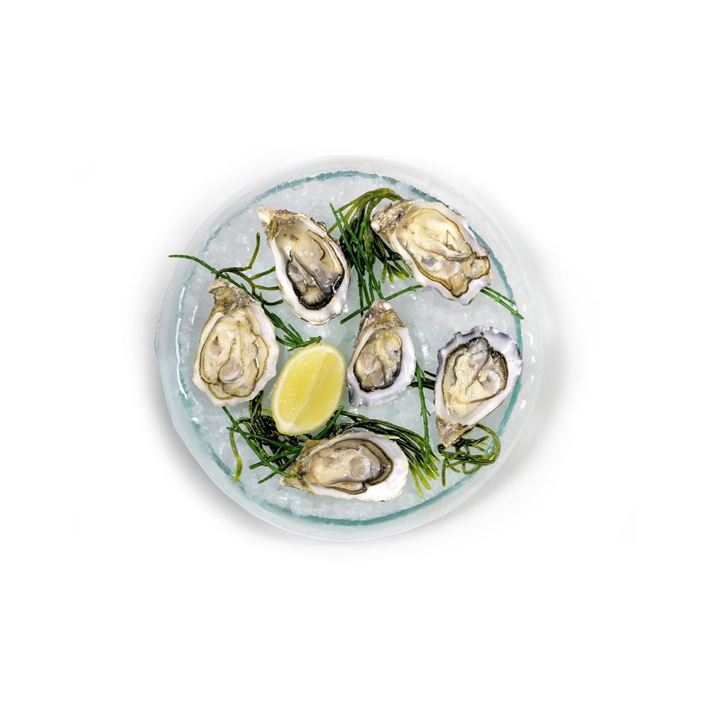 Presentation Tray 6 Oysters - Image 2