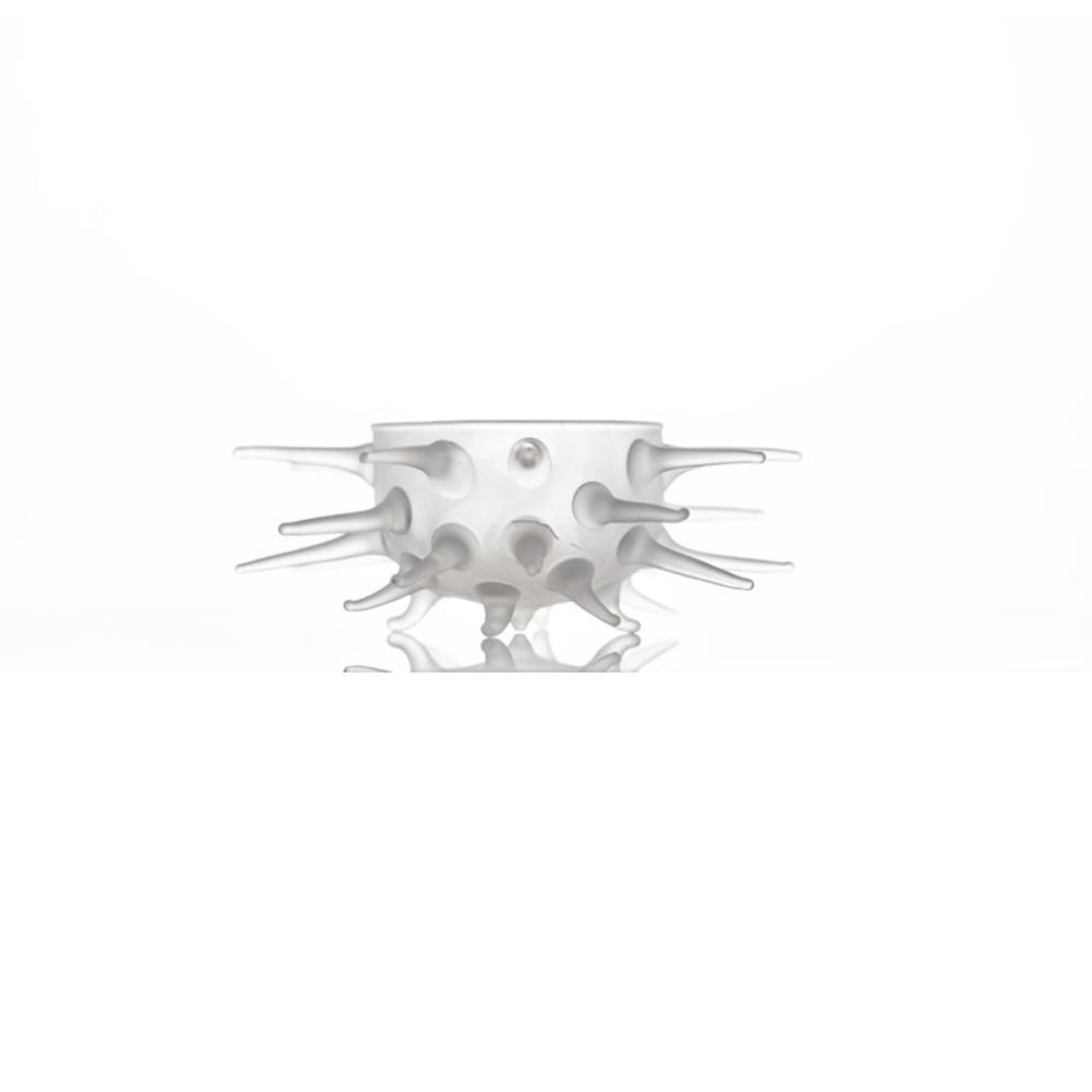 Sea Urchin Snow