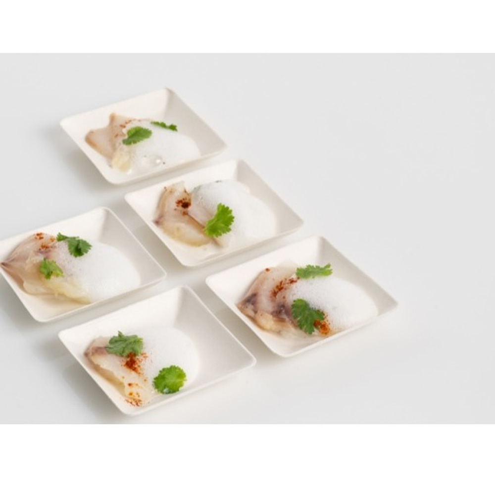 Bagasse Plate 100 Pcs. - Image 3