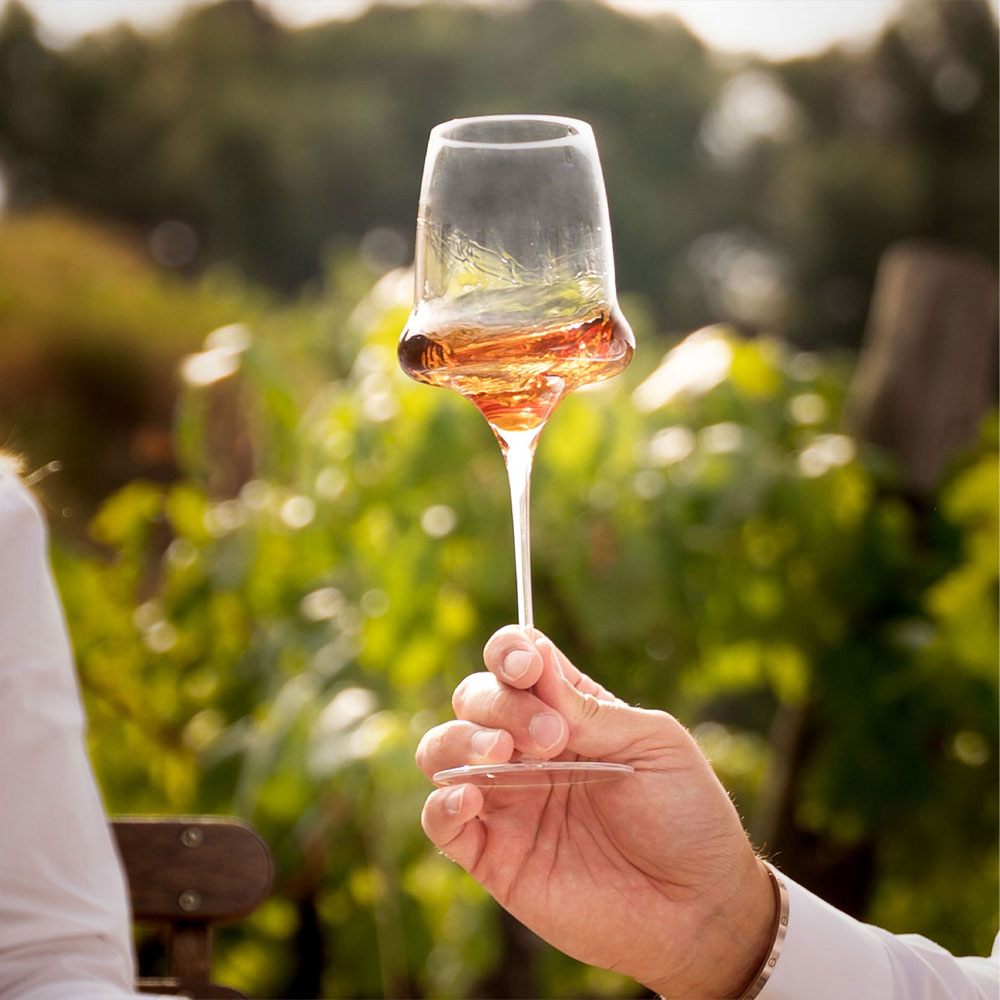 Moner Stemglass 330 - Image 3
