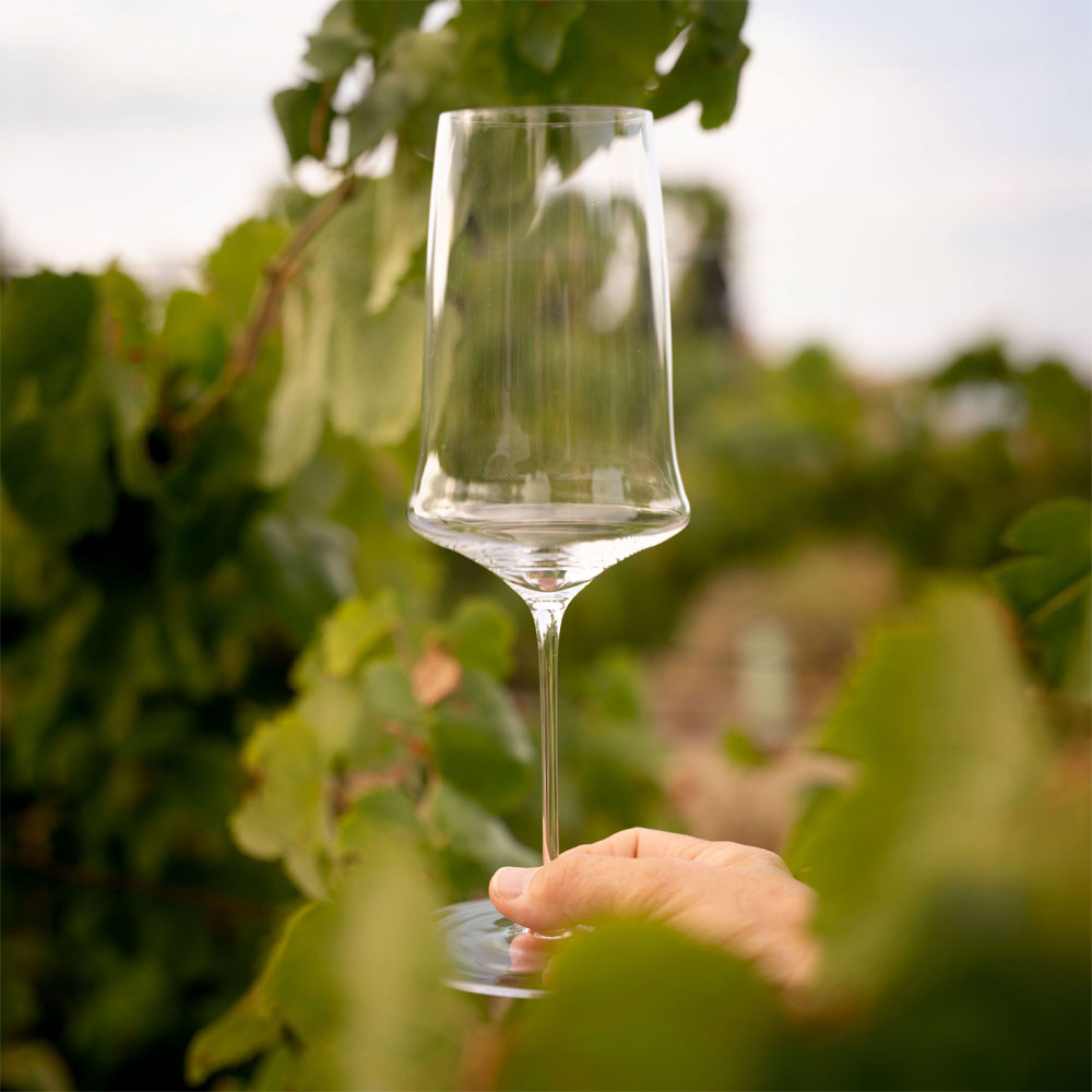 Moner Stemglass 430 - Image 3